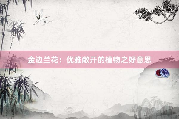金边兰花：优雅敞开的植物之好意思