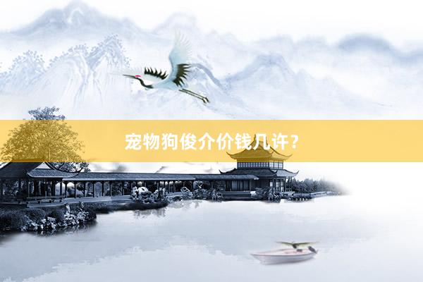 宠物狗俊介价钱几许？